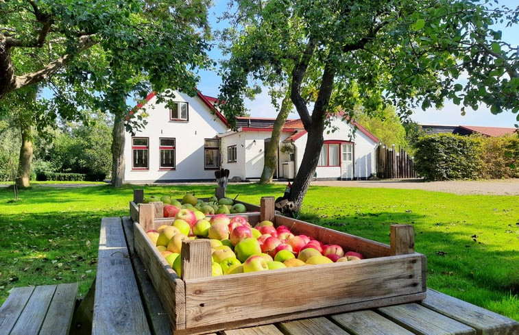 Natuurhuisje in De Cocksdorp