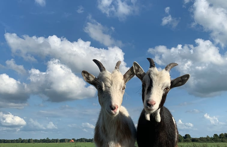 Natuurhuisje in Oudehorne