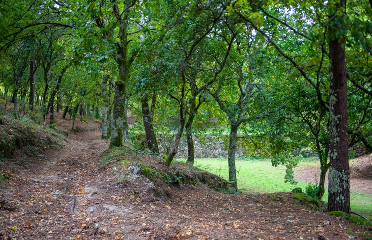 Natuurhuisje in Vieira do minho