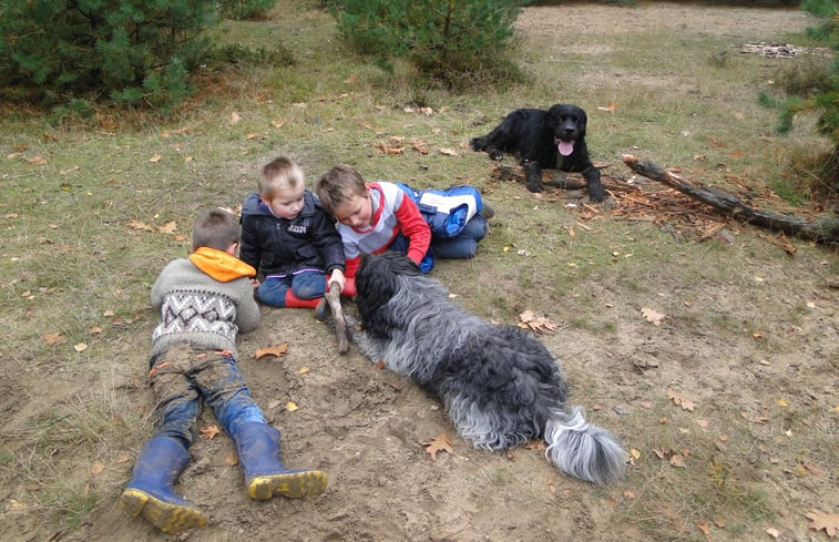 Natuurhuisje in Ermelo