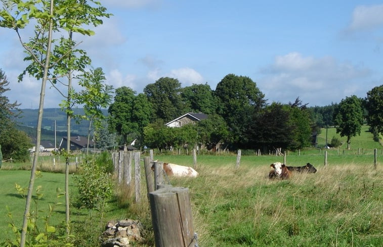 Natuurhuisje in Grand Halleux