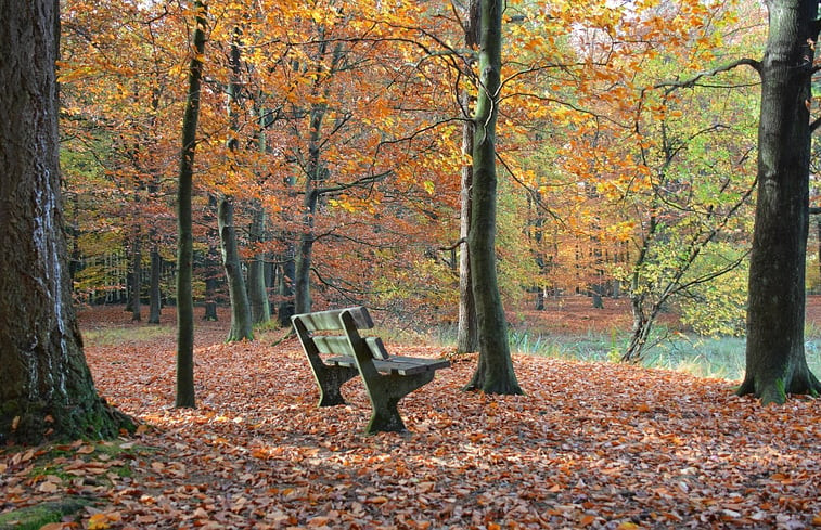 Natuurhuisje in Hapert