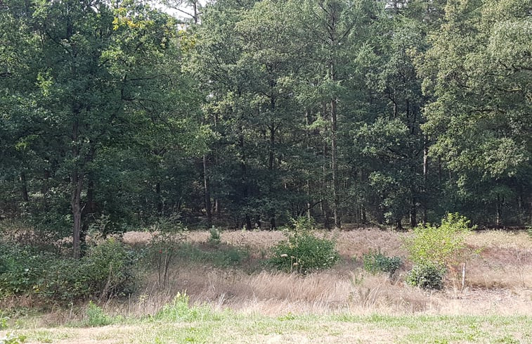 Natuurhuisje in Ommen