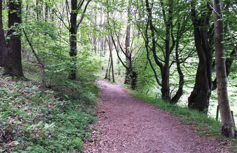 Natuurhuisje in Mechelen