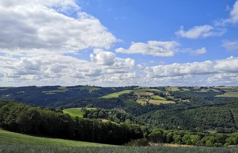 Natuurhuisje in Coupiac