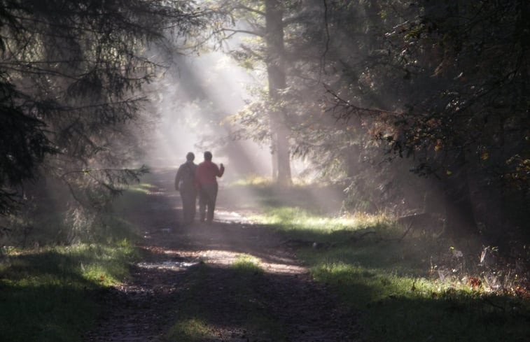 Natuurhuisje in Schoonloo