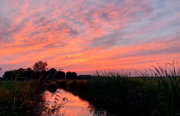 Natuurhuisje in Oudega