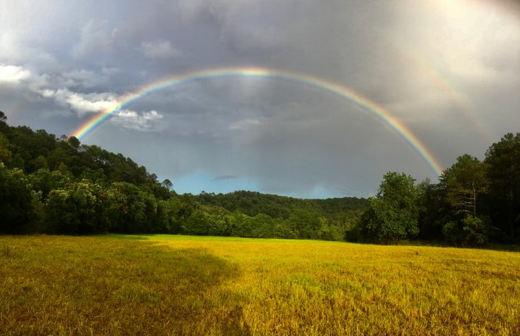 Natuurhuisje in Lladó