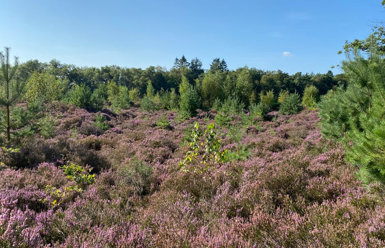 Natuurhuisje in Staphorst