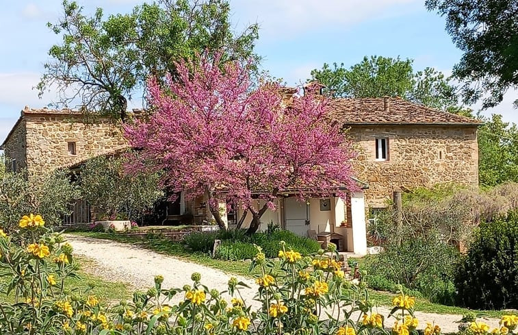 Natuurhuisje in casole d&apos;elsa