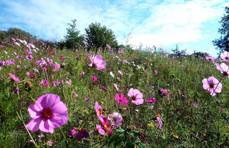 Natuurhuisje in Les Jincheres