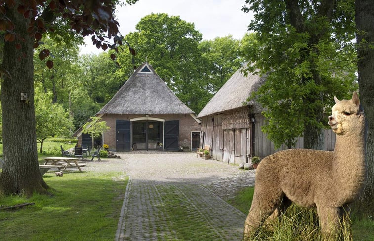 Natuurhuisje in Oosterhesselen