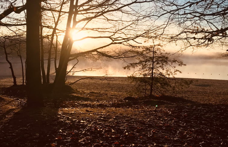 Natuurhuisje in Gasselte