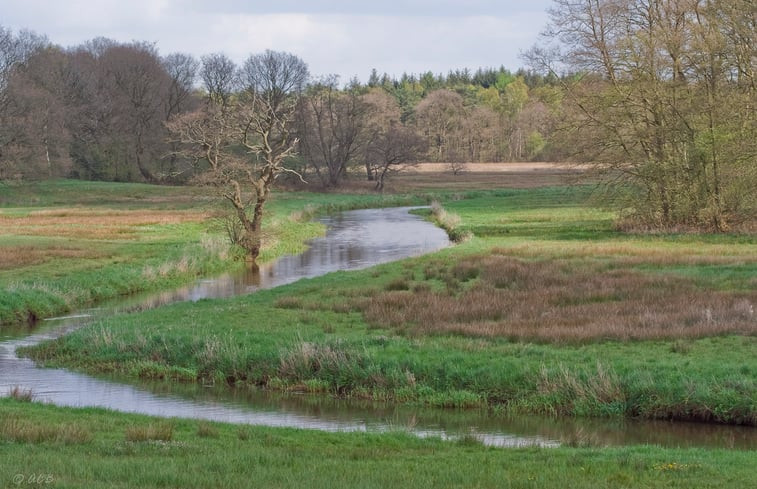 Natuurhuisje in Zeegse