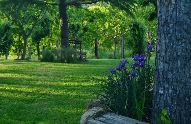 Natuurhuisje in Serra San Quirico