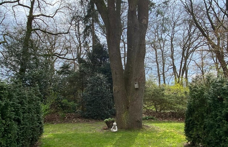 Natuurhuisje in Otterlo