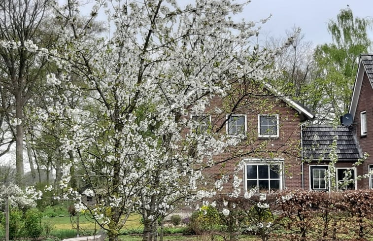 Natuurhuisje in Halle