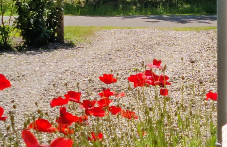 Natuurhuisje in Ruigahuizen