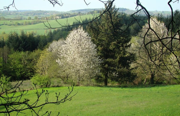 Natuurhuisje in Arfeuilles