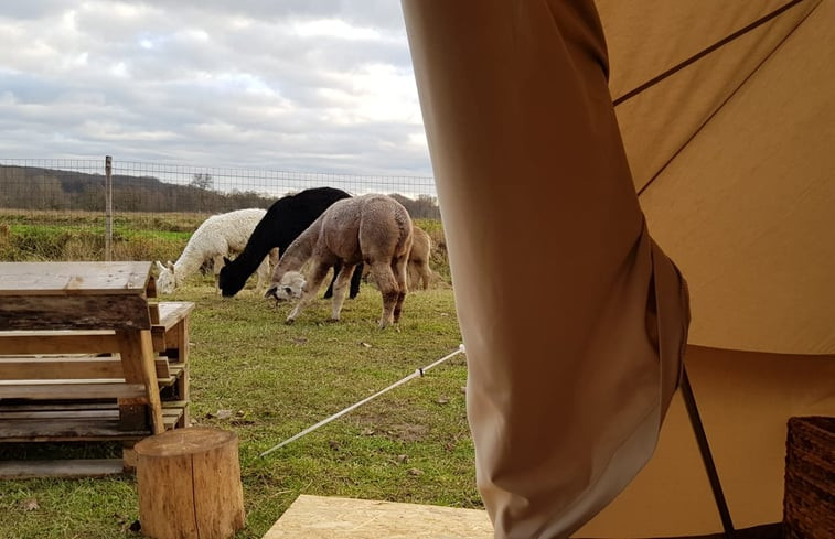 Natuurhuisje in Sint-Agatha-Rode