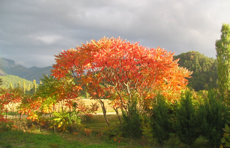 Natuurhuisje in Menglon