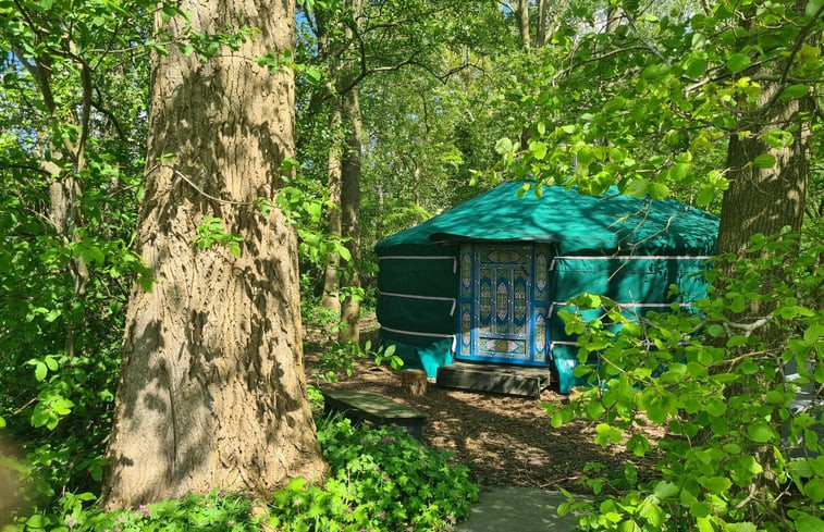 Natuurhuisje in Een-West