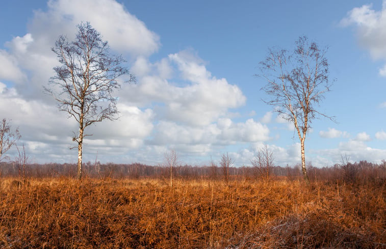 Natuurhuisje in Hezingen