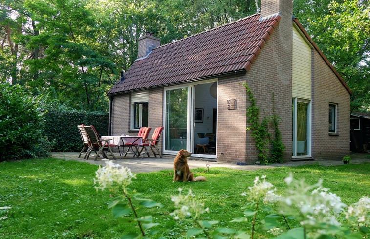 Natuurhuisje in Harfsen