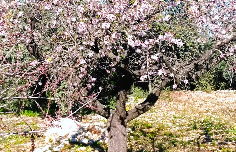 Natuurhuisje in La Vall de Laguar