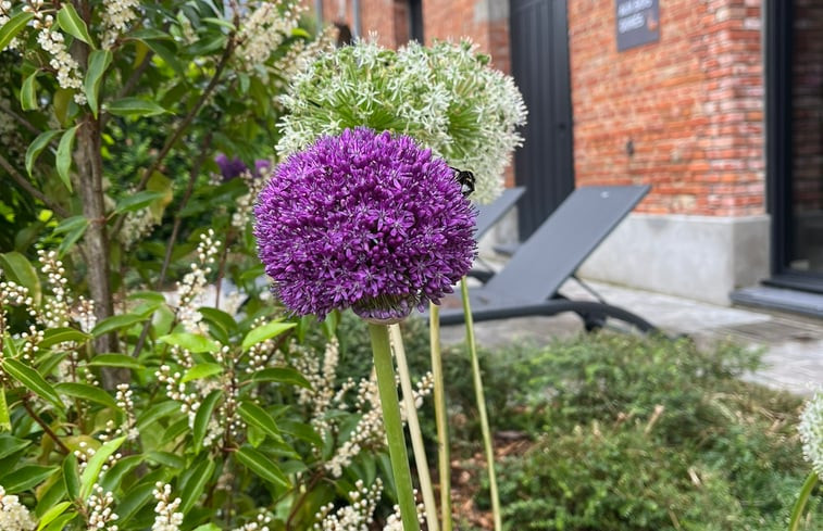 Natuurhuisje in Walincourt