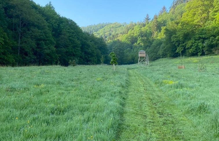 Natuurhuisje in La roche-en-ardenne