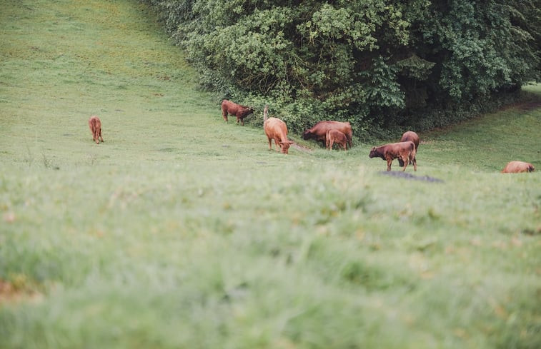 Natuurhuisje in Reut