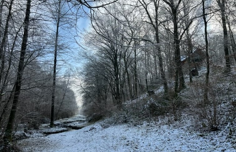 Natuurhuisje in Morville (FLORENNES)