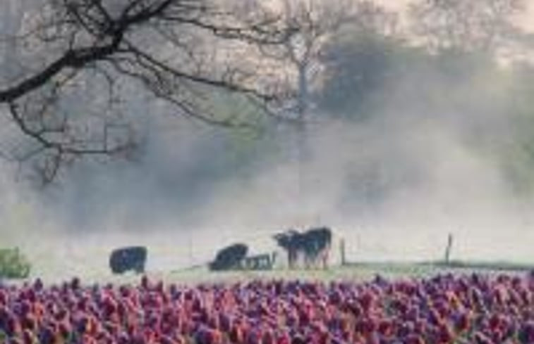 Natuurhuisje in Bergentheim