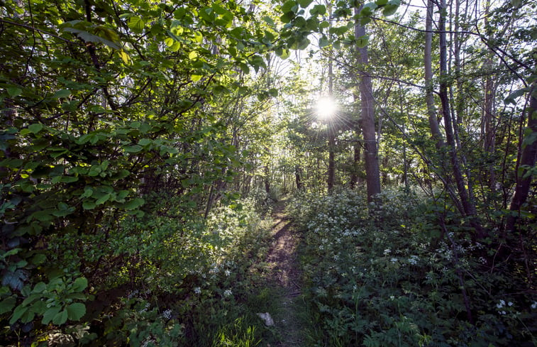 Natuurhuisje in Biggekerke