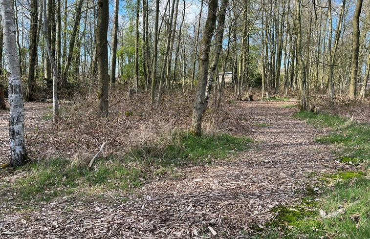 Natuurhuisje in Kollumerzwaag