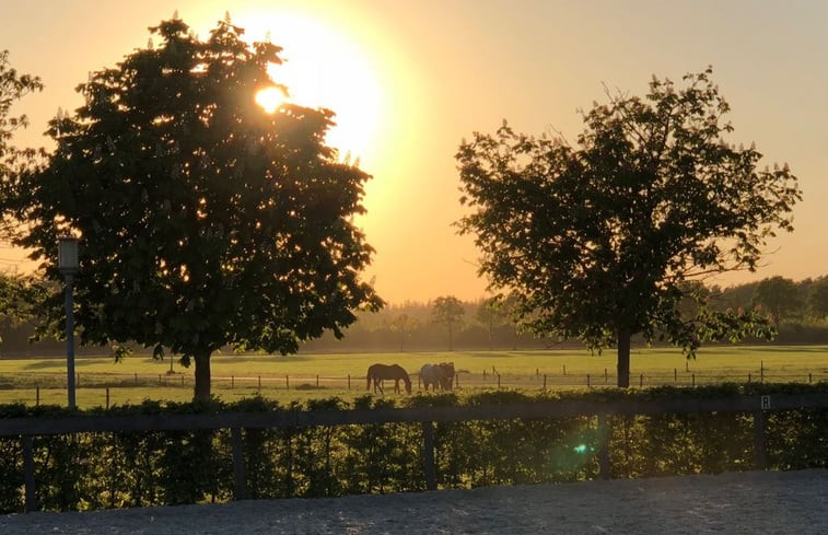 Natuurhuisje in Börger