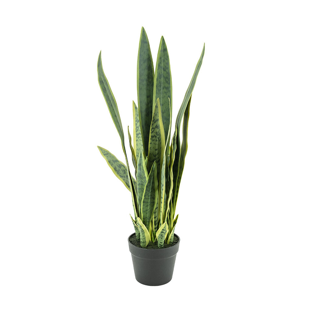 By-Boo Kunstplant Sansevieria - Groen