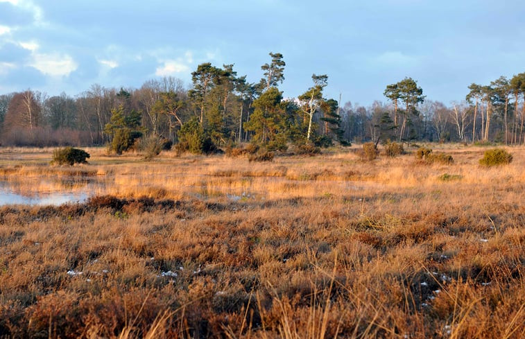 Natuurhuisje in Enschede