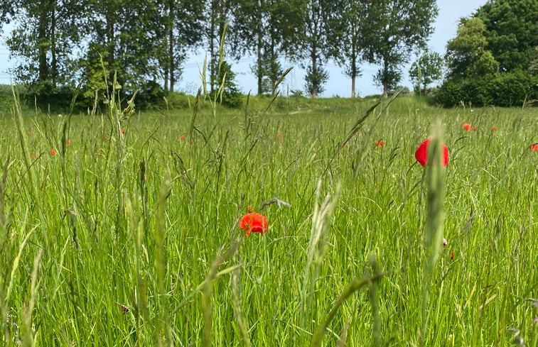 Natuurhuisje in Driewegen