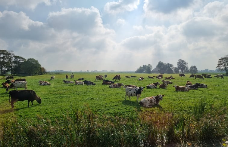 Natuurhuisje in Baaium