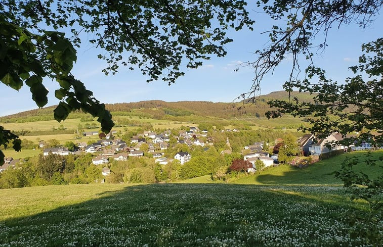 Natuurhuisje in Olsberg