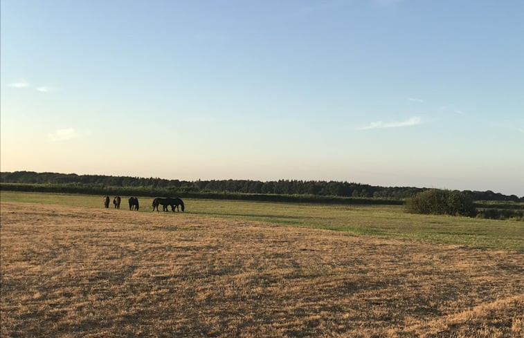 Natuurhuisje in Oldeholtpade