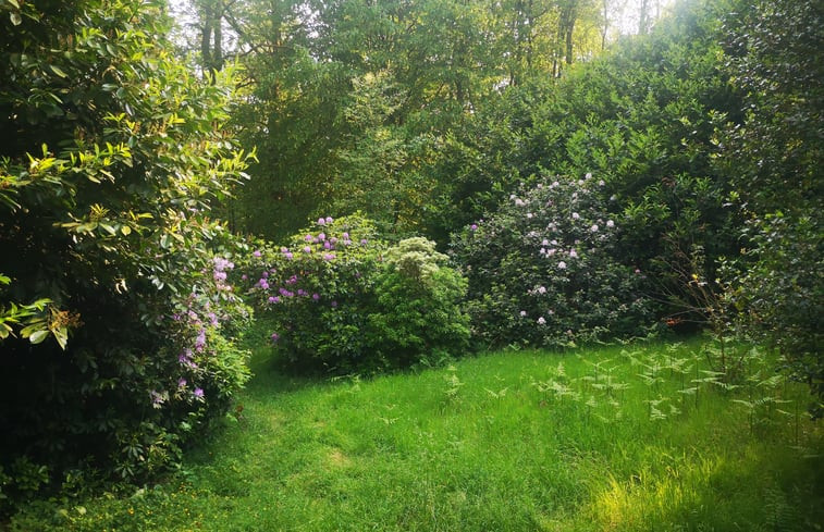 Natuurhuisje in Oignies en Thiérache