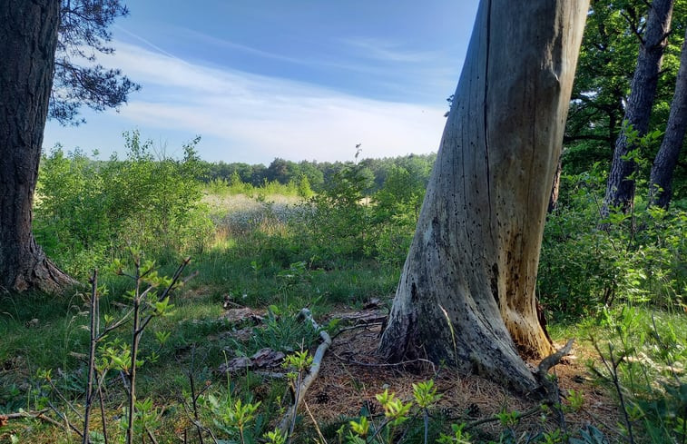 Natuurhuisje in Norg