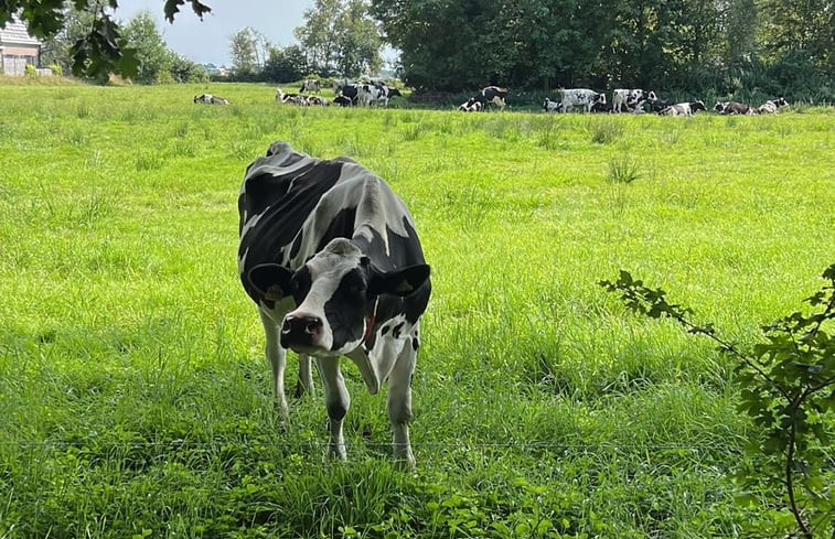 Natuurhuisje in Vriezenveen