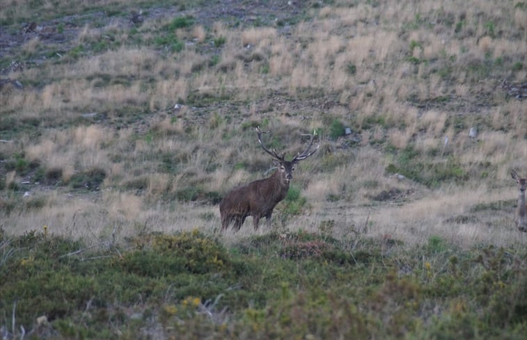 Natuurhuisje in Espinhal