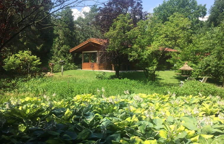 Natuurhuisje in Uelsen