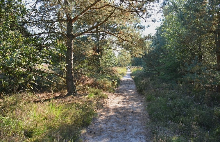 Natuurhuisje in Hapert