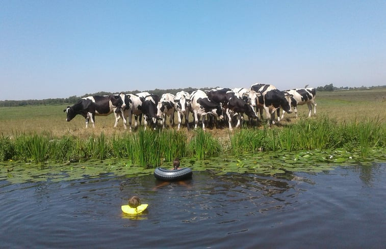 Natuurhuisje in Bodegraven